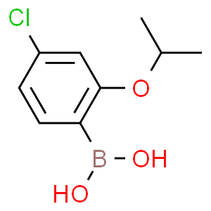 4-氯-2-异丙氧基苯硼酸