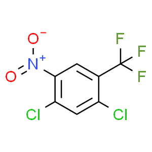 2,4-二氯-5-硝基三氟甲基苯